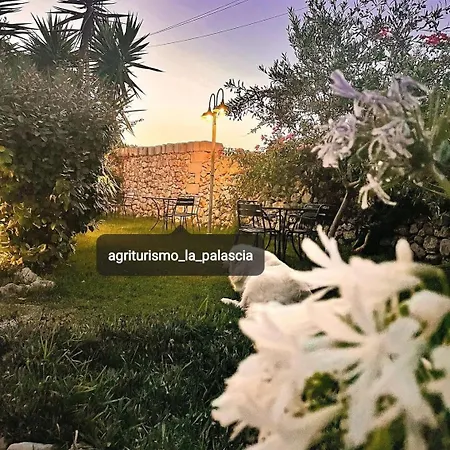 Alloggio per agriturismo La Palascìa Masseria Agreste
