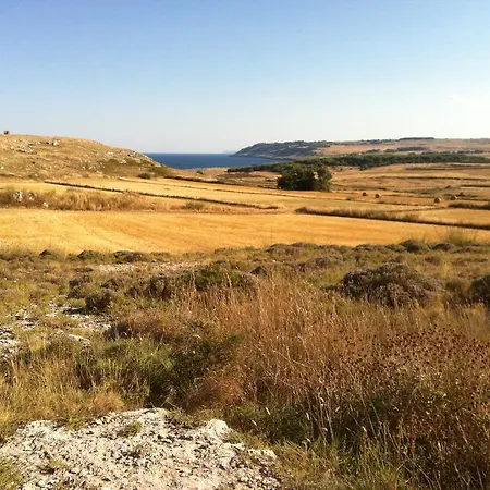 La Palascìa Masseria Agreste Alloggio per agriturismo *